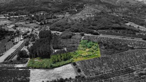 Terreno Rústico c/ 8.331 m² em Aldeia do Souto – Covilhã