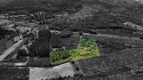 Terreno Rústico c/ 8.331 m² em Aldeia do Souto – Covilhã