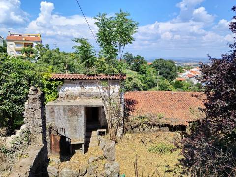 Investimento na Covilhã | 4 Artigos Urbanos com Potencial Construtivo