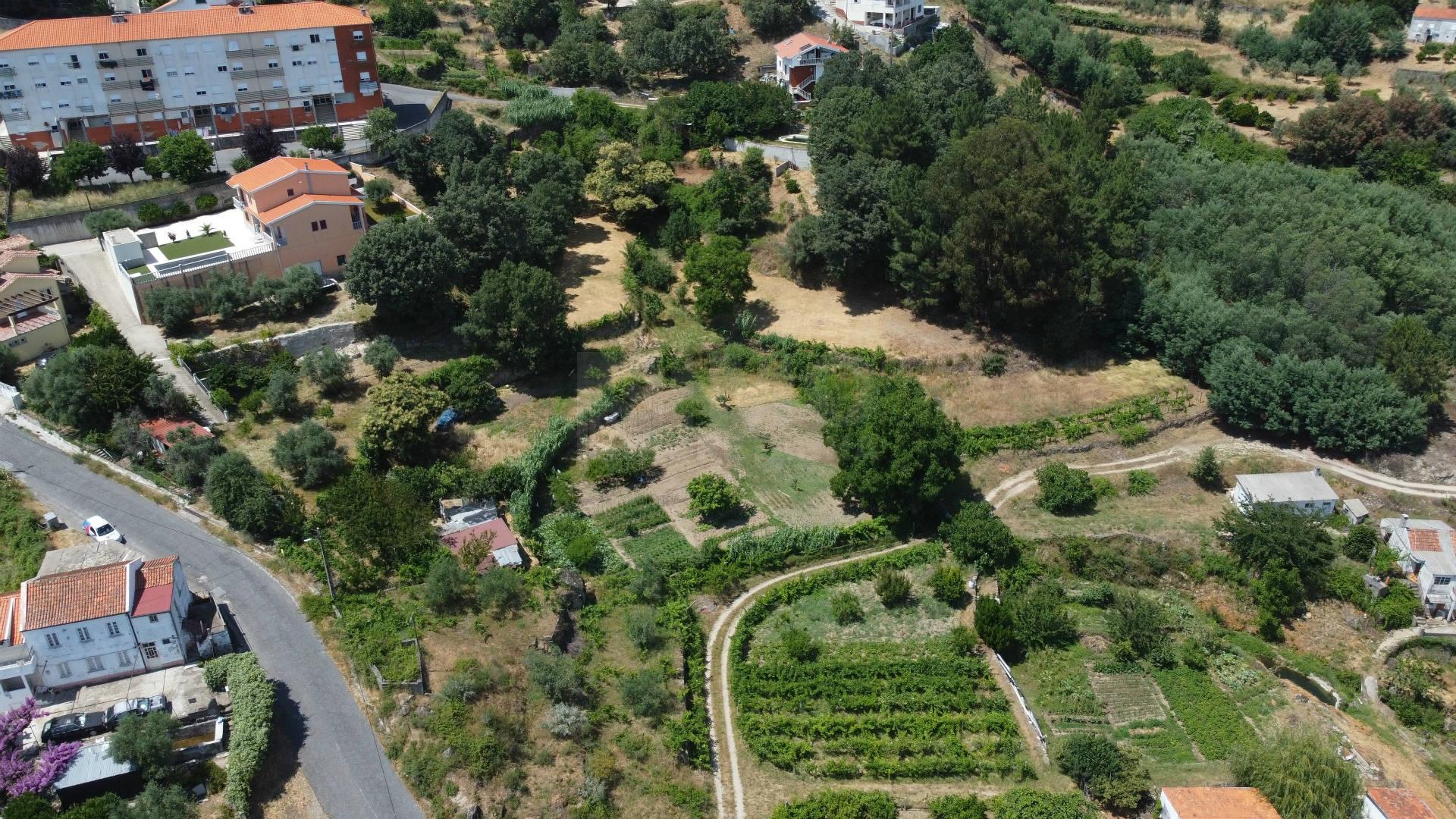 Terreno com 4.522 m² e Viabilidade de Construção - Vila do Carvalho