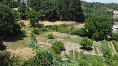 Terreno com 4.522 m² e Viabilidade de Construção - Vila do Carvalho