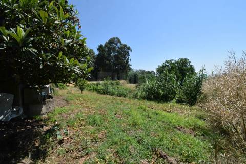 Terreno com 4.522 m² e Viabilidade de Construção - Vila do Carvalho