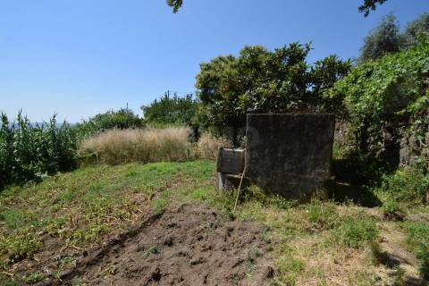 Terreno com 4.522 m² e Viabilidade de Construção - Vila do Carvalho