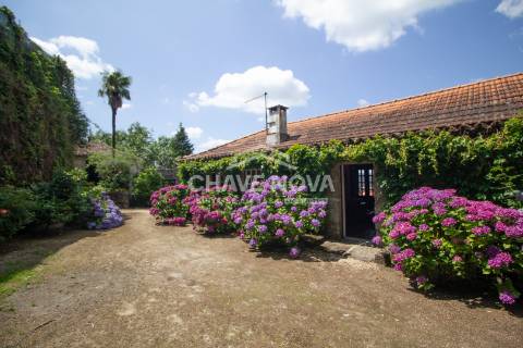 Quintinha T4 Venda em Várzea, Aliviada e Folhada,Marco de Canaveses