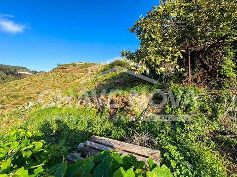 Quinta T2 Venda em Caniço,Santa Cruz