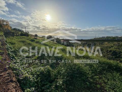 Quinta T2 Venda em Caniço,Santa Cruz