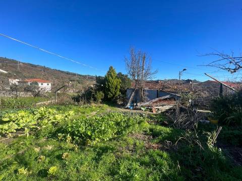 Moradia T3 Venda em Grilo,Baião