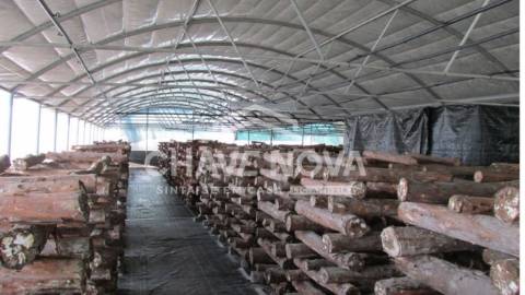 Herdade  Venda em Estorãos,Fafe