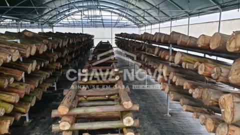 Herdade  Venda em Estorãos,Fafe