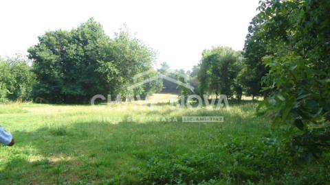 Herdade  Venda em Estorãos,Fafe