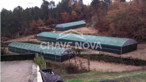 Herdade  Venda em Estorãos,Fafe