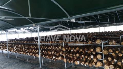 Herdade  Venda em Estorãos,Fafe