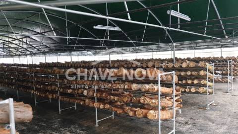 Herdade  Venda em Estorãos,Fafe