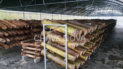 Herdade  Venda em Estorãos,Fafe