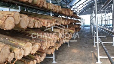 Herdade  Venda em Estorãos,Fafe