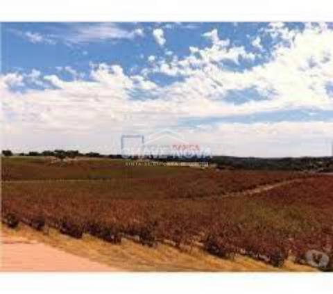 Herdade  Venda em Terrugem e Vila Boim,Elvas