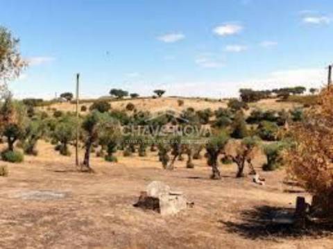Herdade  Venda em Terrugem e Vila Boim,Elvas