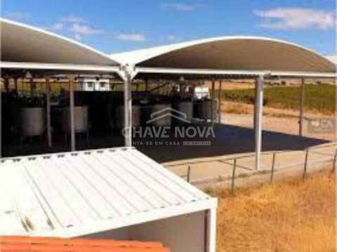 Herdade  Venda em Terrugem e Vila Boim,Elvas