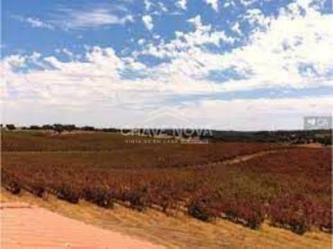 Herdade  Venda em Terrugem e Vila Boim,Elvas