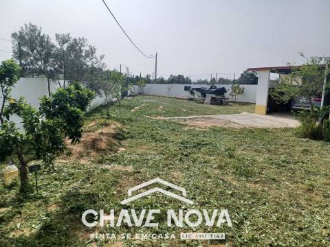 Terreno Rústico  Venda em Moncarapacho e Fuseta,Olhão