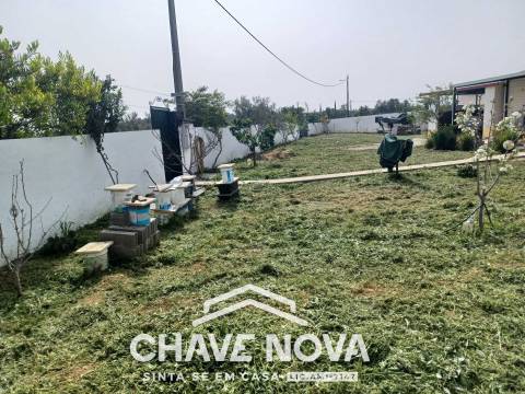 Terreno Rústico  Venda em Moncarapacho e Fuseta,Olhão