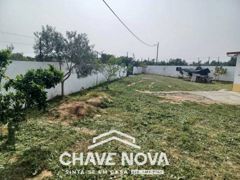 Terreno Rústico  Venda em Moncarapacho e Fuseta,Olhão