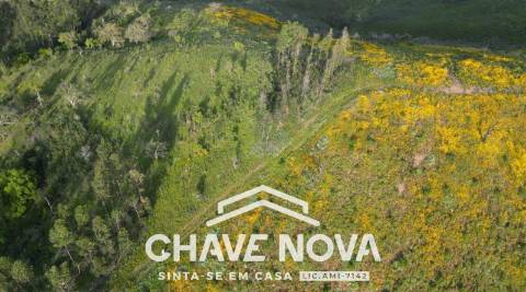 Terreno Rústico  Venda em São Marcos da Serra,Silves