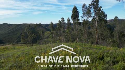 Terreno Rústico  Venda em São Marcos da Serra,Silves