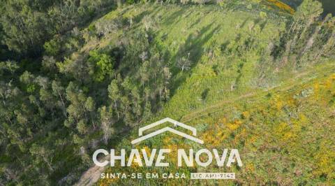 Terreno Rústico  Venda em São Marcos da Serra,Silves