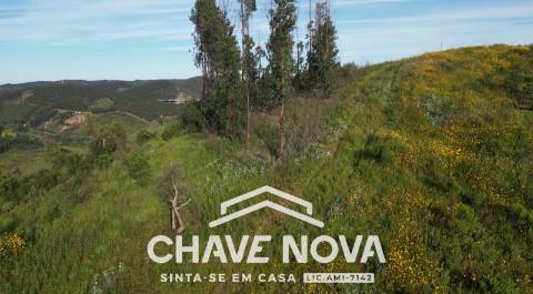 Terreno Rústico  Venda em São Marcos da Serra,Silves