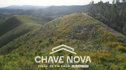 Terreno Rústico  Venda em São Marcos da Serra,Silves