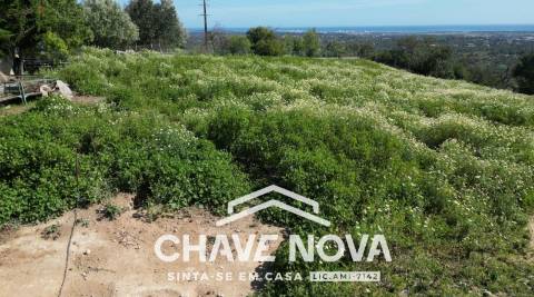 Lote de Terreno  Venda em Boliqueime,Loulé