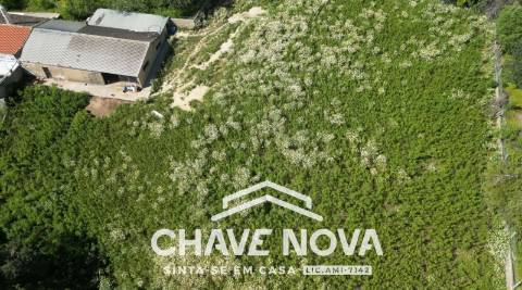 Lote de Terreno  Venda em Boliqueime,Loulé