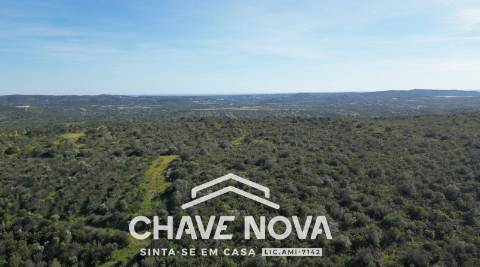 Lote de Terreno  Venda em Alte,Loulé