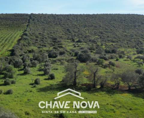 Lote de Terreno  Venda em Alte,Loulé