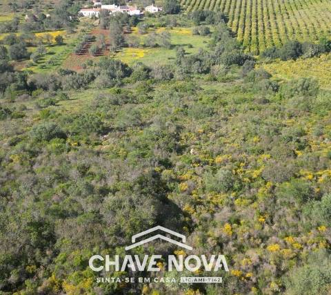 Lote de Terreno  Venda em Alte,Loulé