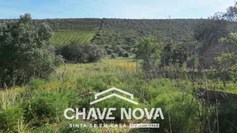 Lote de Terreno  Venda em Alte,Loulé