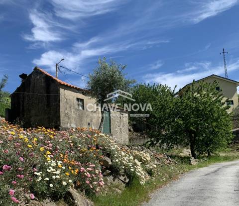 Moradia Isolada T1 Venda em Freigil e Miomães,Resende