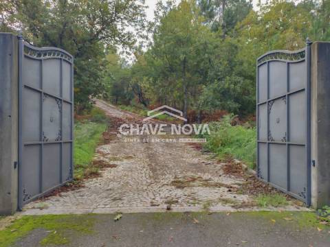 Moradia Isolada T5 TRIPLEX Venda em São Cipriano e Vil de Souto,Viseu