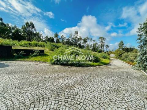 Moradia Isolada T5 TRIPLEX Venda em São Cipriano e Vil de Souto,Viseu