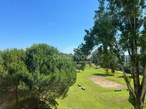 Apartamento T1 Venda em Carvalhal,Grândola
