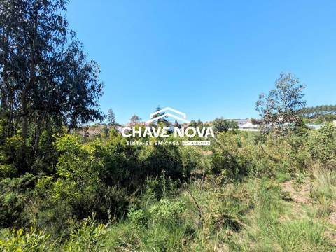 Terreno Para Construção T3 Venda em São João de Ver,Santa Maria da Feira