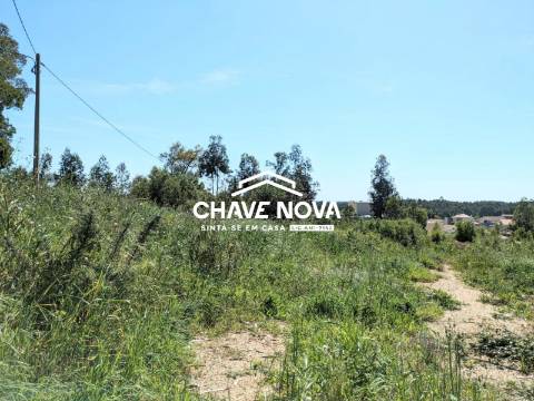 Terreno Para Construção T3 Venda em São João de Ver,Santa Maria da Feira