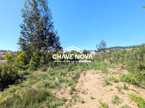 Terreno Para Construção T3 Venda em São João de Ver,Santa Maria da Feira
