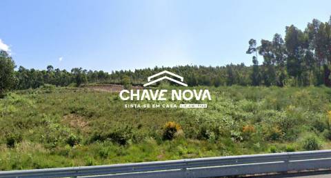 Terreno  Venda em Canedo, Vale e Vila Maior,Santa Maria da Feira