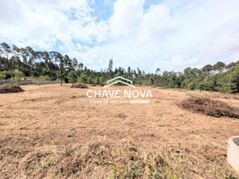 Terreno Misto  Venda em Caldas de São Jorge e Pigeiros,Santa Maria da Feira