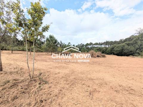 Terreno Misto  Venda em Caldas de São Jorge e Pigeiros,Santa Maria da Feira