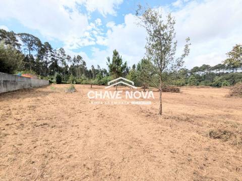 Terreno Misto  Venda em Caldas de São Jorge e Pigeiros,Santa Maria da Feira