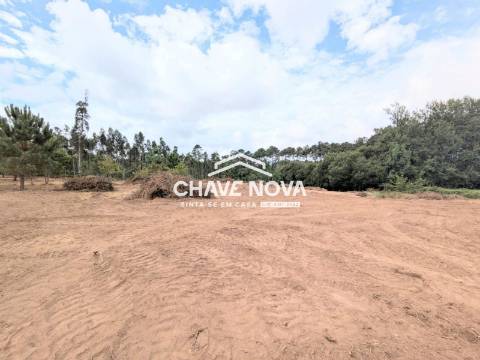 Terreno Misto  Venda em Caldas de São Jorge e Pigeiros,Santa Maria da Feira