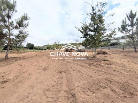 Terreno Misto  Venda em Caldas de São Jorge e Pigeiros,Santa Maria da Feira